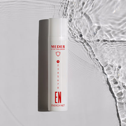 Energy-Net